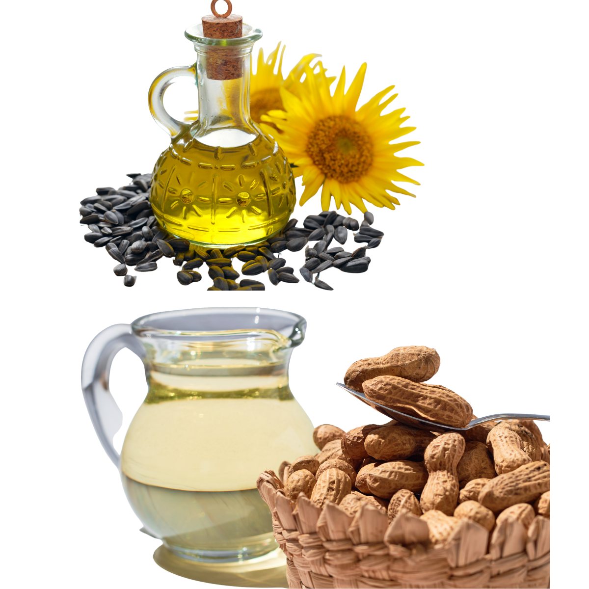 Groundnut Oil vs Sunflower Oil: What's the Difference?